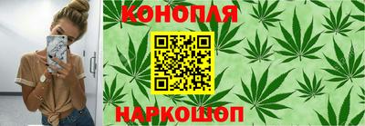 трава Кандалакша