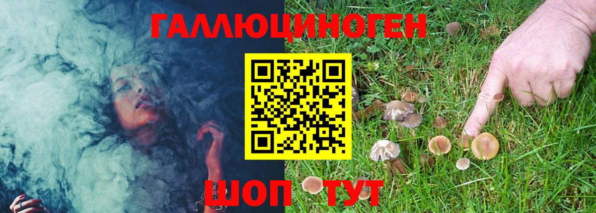 купить  сайты  Галлюциногенные грибы Psilocybe  Вход с VPN  Котельники 